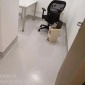 医院用康碘酒地板耐酸碱塑胶地板PVC地板厂家上门安装